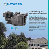 Hayward Super Pump VS
